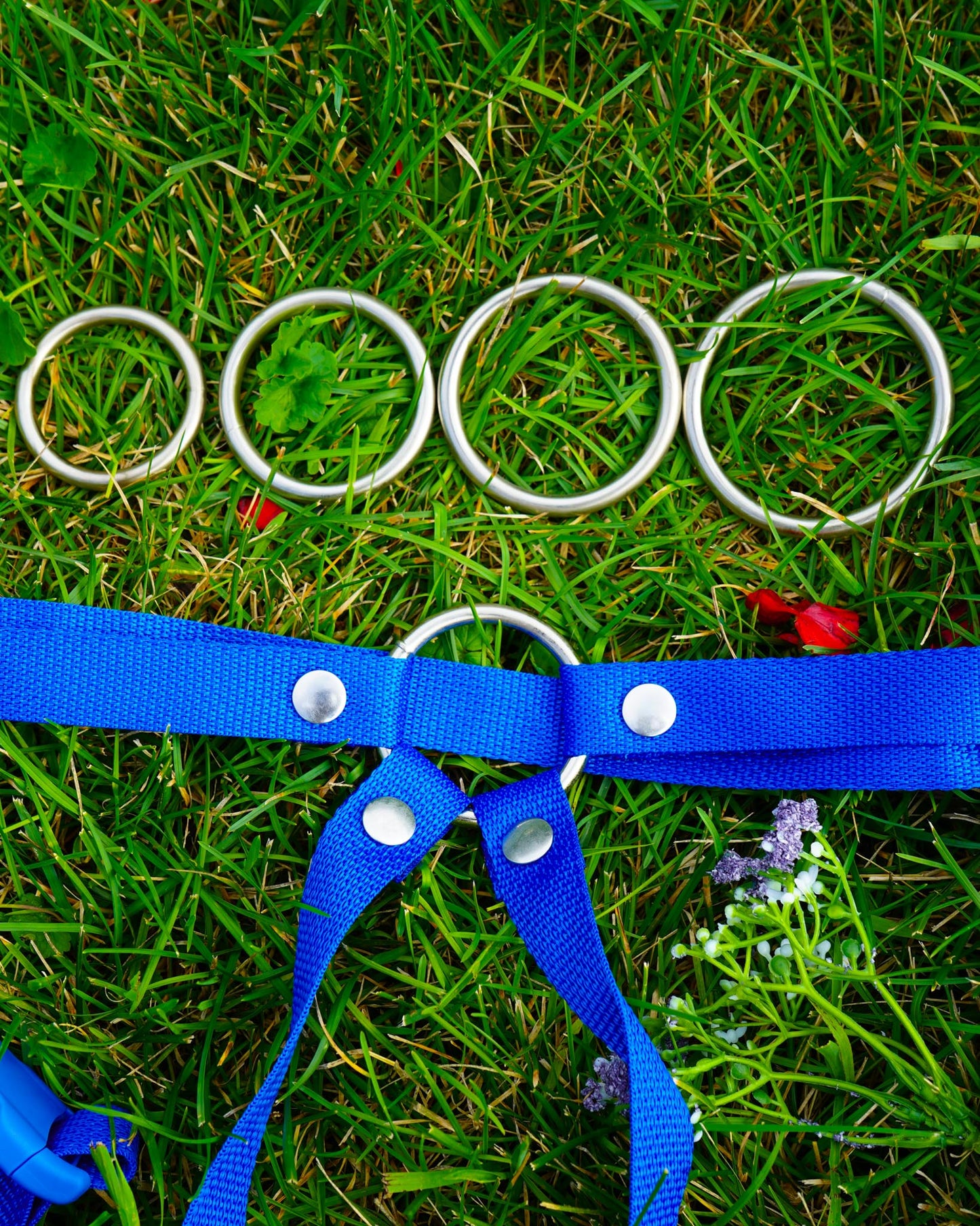 O-Ring Multisize 4-Pack
