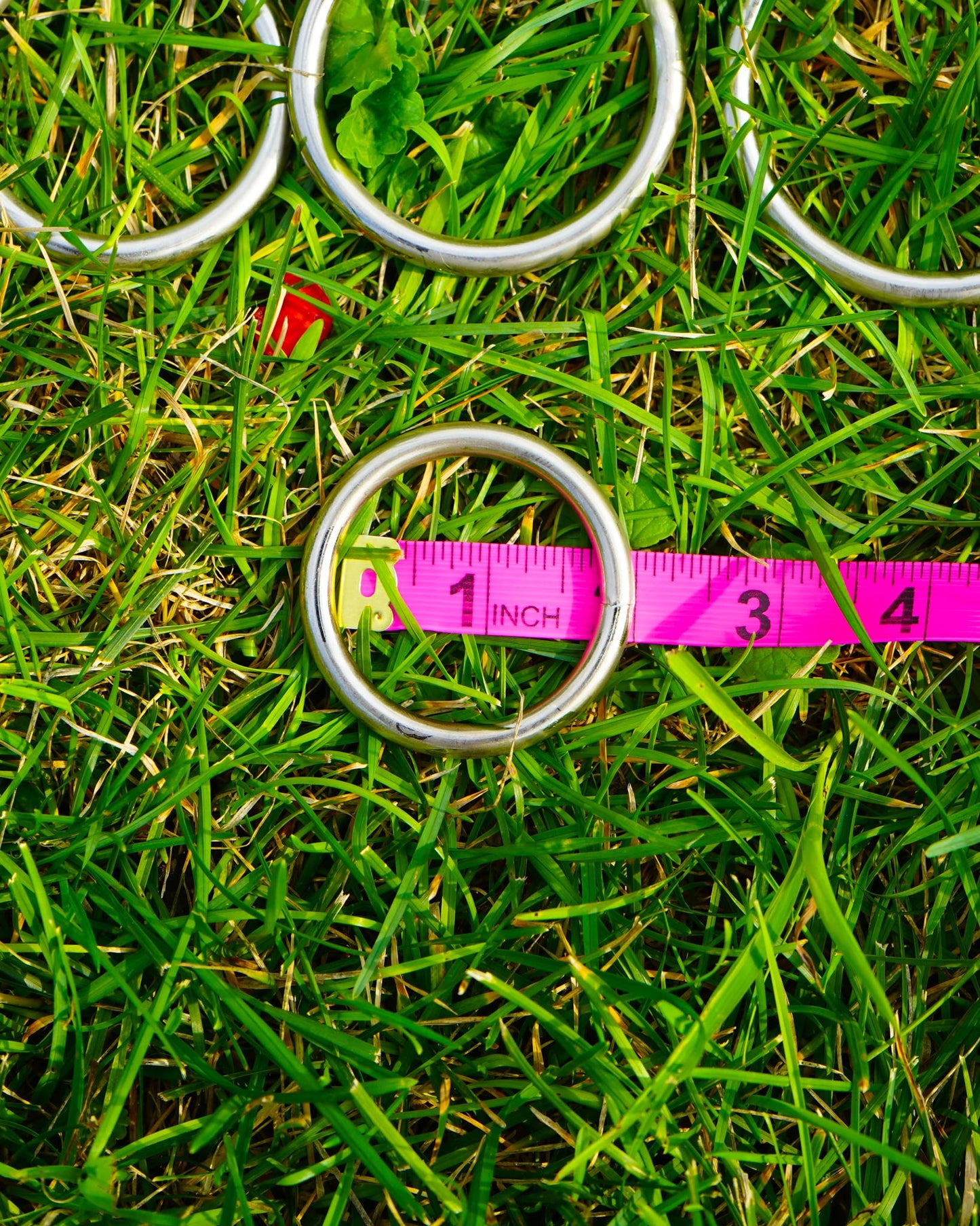 O-Ring Multisize 4-Pack