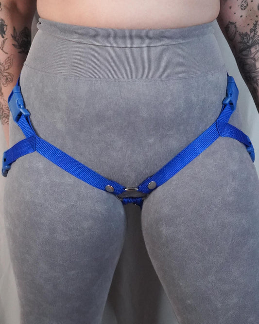Royal Blue Harness