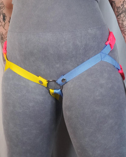 Pansexual Flag Harness
