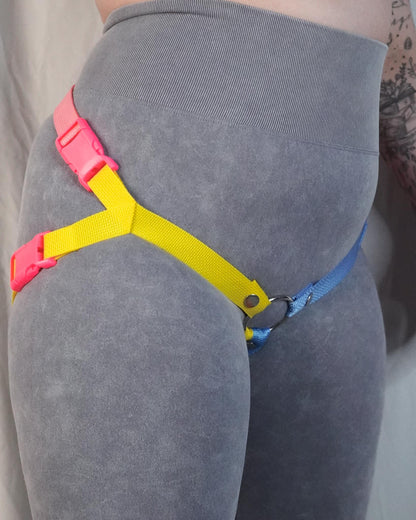 Pansexual Flag Harness
