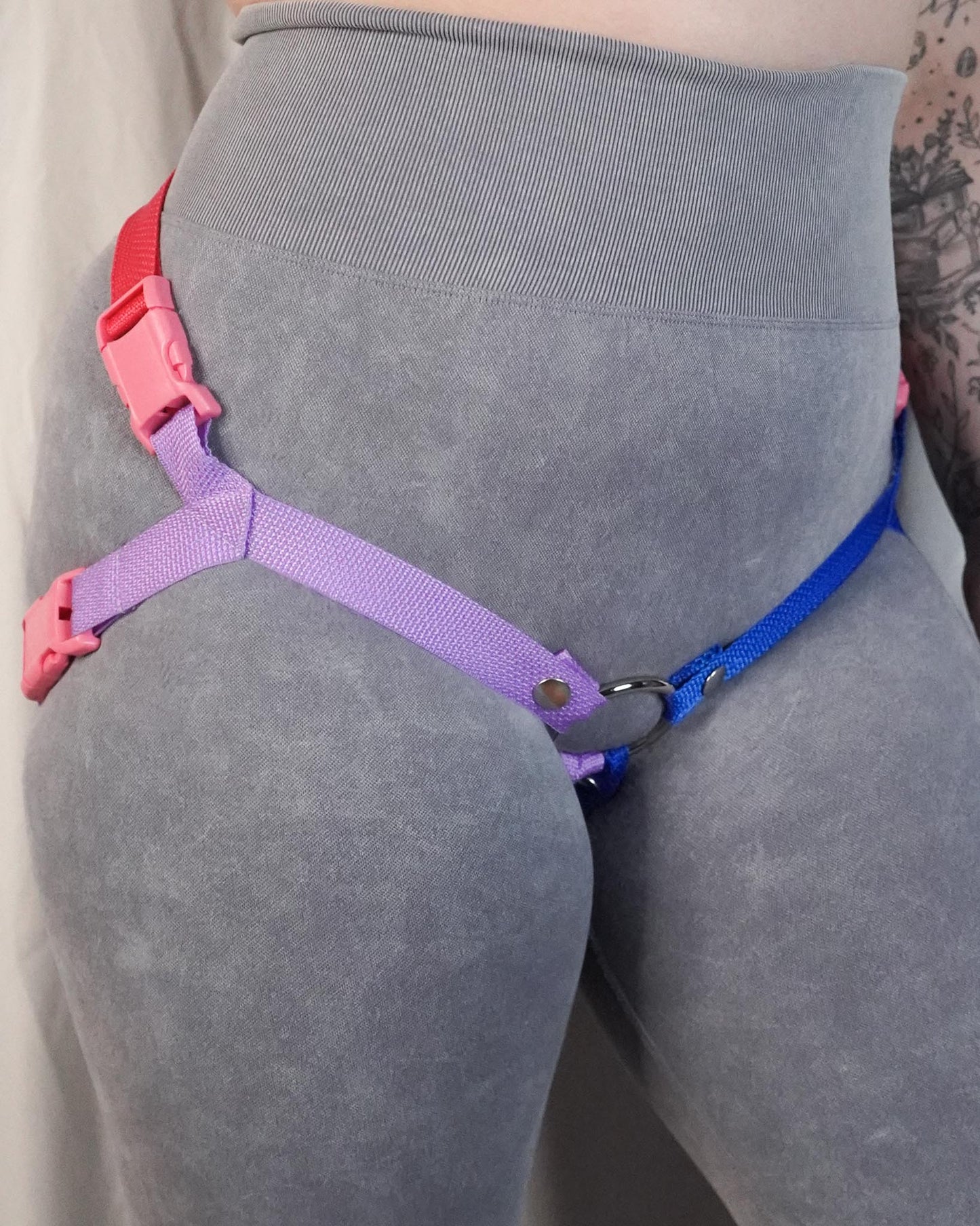 Bisexual Flag Harness