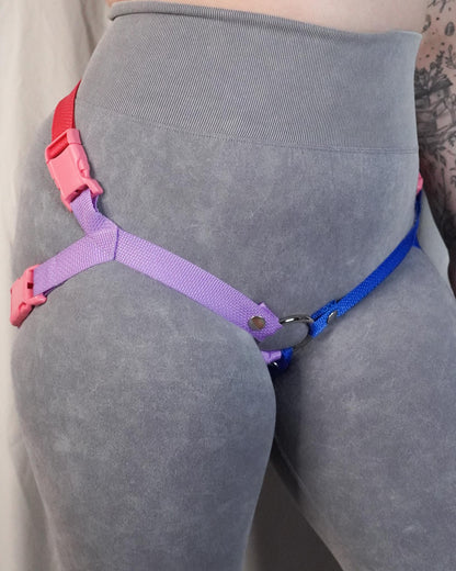 Bisexual Flag Harness