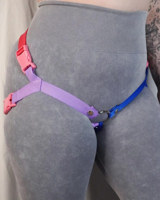 Bisexual Flag Harness