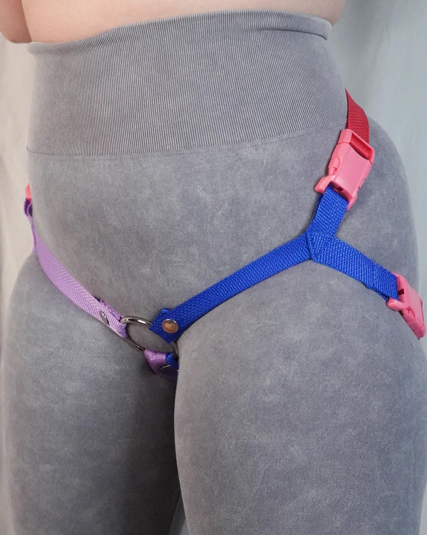 Bisexual Flag Harness