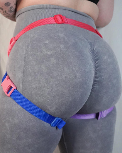 Bisexual Flag Harness