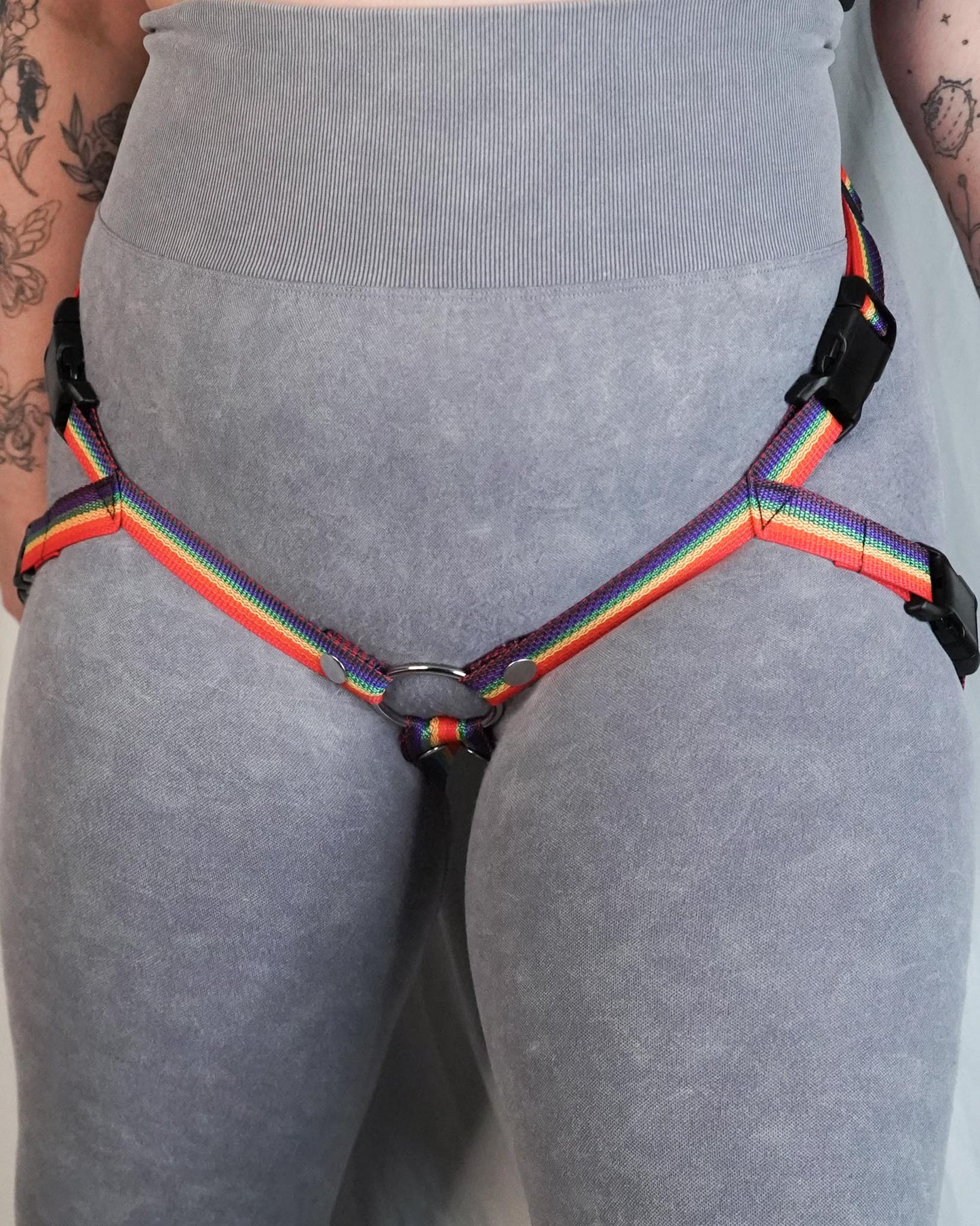 Rainbow Flag Harness