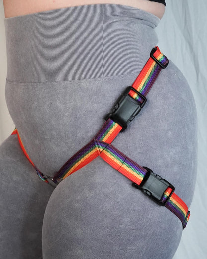 Rainbow Flag Harness