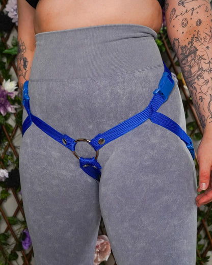 Blue Harness