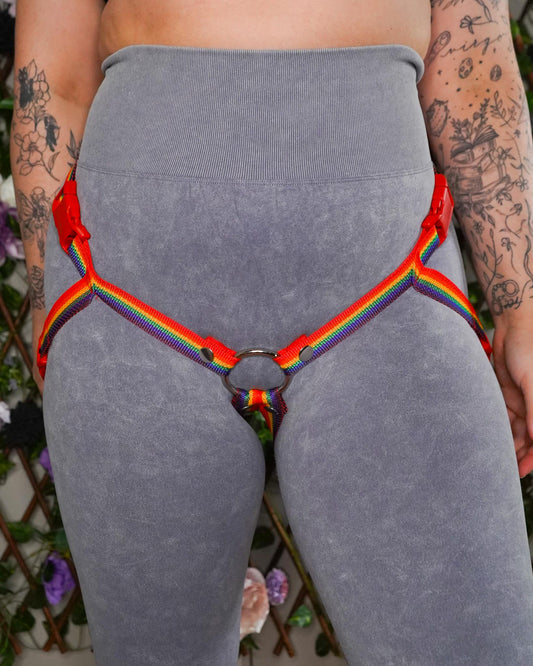 Rainbow Flag Harness