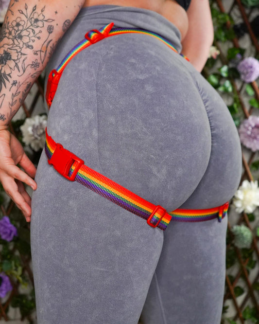 Rainbow Flag Harness
