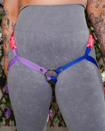 Bisexual Flag Harness