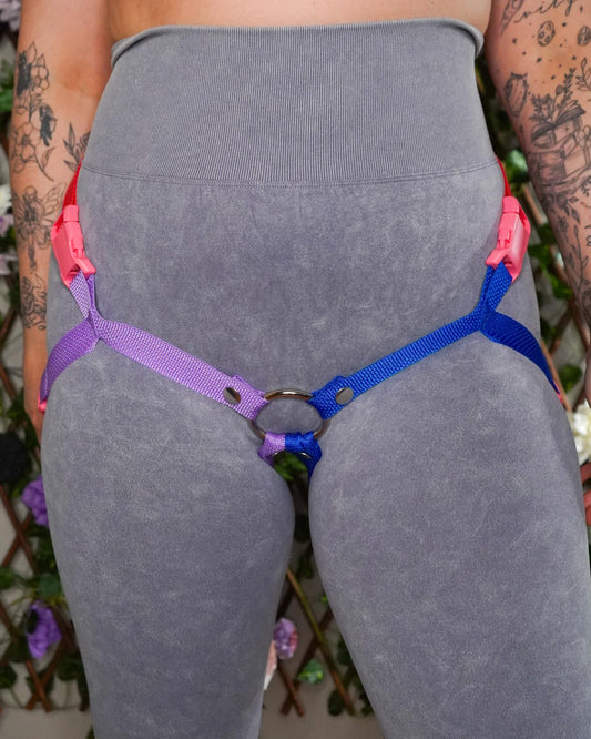 Bisexual Flag Harness