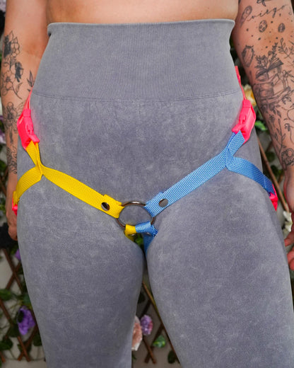 Pansexual Flag Harness