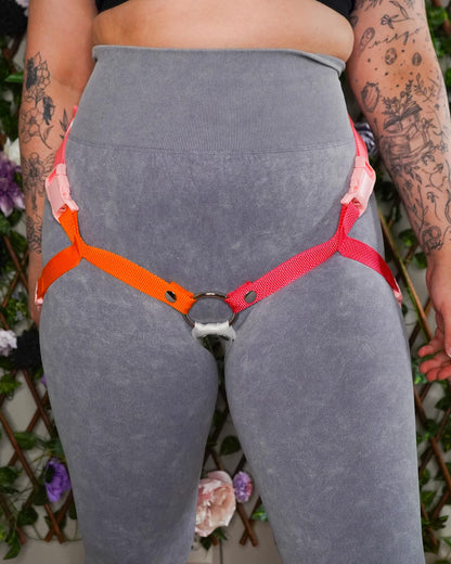 Lesbian Flag Harness